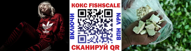 где найти наркотики  Новоалтайск  Кокаин 99% 
