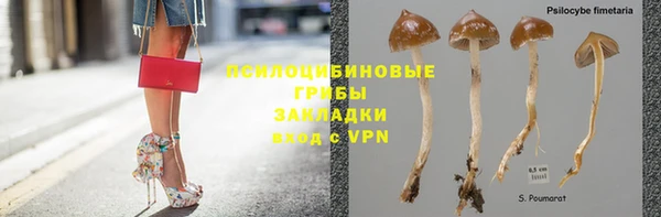 прущие крисы Абинск