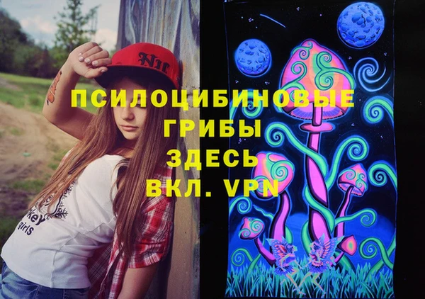 прущие крисы Абинск